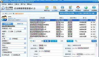 數(shù)字化浪潮下的精準(zhǔn)觸達(dá) 企業(yè)網(wǎng)絡(luò)營銷軟件與計(jì)算設(shè)備的多維市場解析